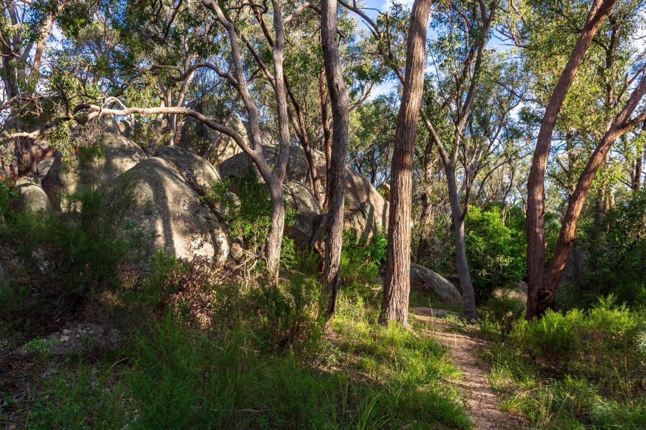 Granite Belt Motel Stanthorpe Kültér fotó